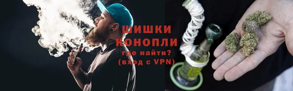 ПСИЛОЦИБИНОВЫЕ ГРИБЫ Алексеевка