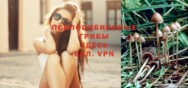 ПСИЛОЦИБИНОВЫЕ ГРИБЫ Алексеевка