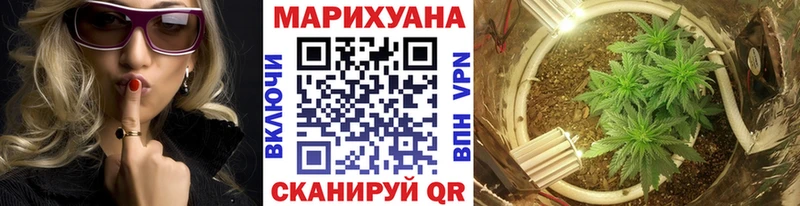 Конопля OG Kush  цены наркотик  Иланский 